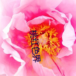 桃红色界 （千语万言）