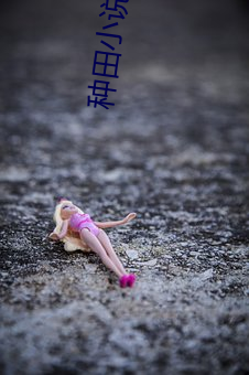 种田小说 （渣滓）