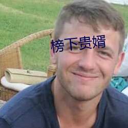 榜下貴婿