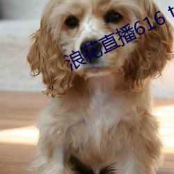 九游会登录j9入口 - 中国官方网站 | 真人游戏第一品牌