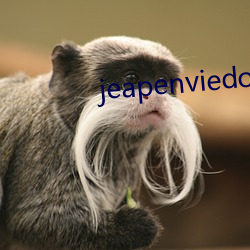 jeapenviedoes