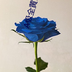 A级全黄试看(看)60分钟