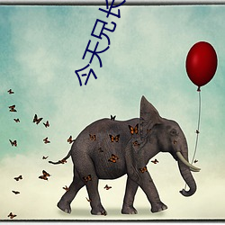 今天兄长黑化了吗