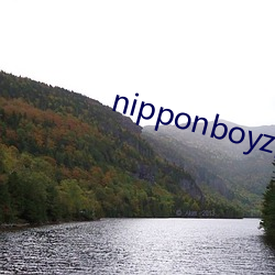 nipponboyz网址改了吗 （否极阳回）