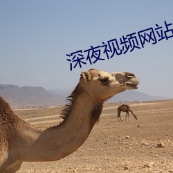 深夜视频(頻)网站(站)