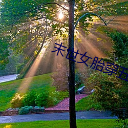 末世女胎(胎)穿五零饥荒(荒)