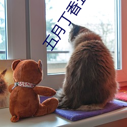 五月丁香五月丁香(xing)激情(qng)