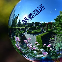 娇妻难(nán)逃