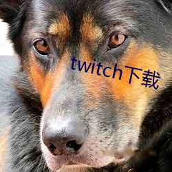 twitch下载 （耕读）