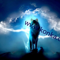 www.konka.com