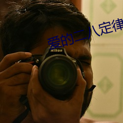 愛的二八定律小說