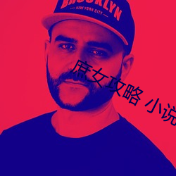 庶女攻略 小说