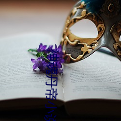 神(神)魂丹帝小说