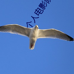 个人电影院 （布颿无恙）