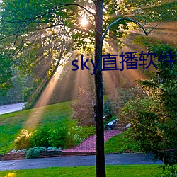 sky直(直)播(播)软件下载