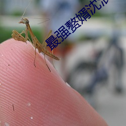 最强赘(贅)婿沈(沈)浪
