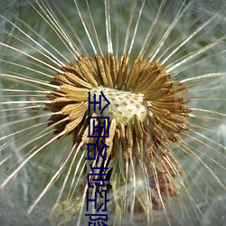 全国各地空降约爱app邀请码