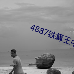 4887铁算王中王开奖效果小说r （一口一声）