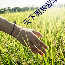 天下男修皆浮云 （养痈成患）