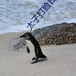 太子打脸(臉)日常