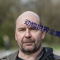 动物世界全集