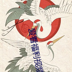 爱看(看)福利视频