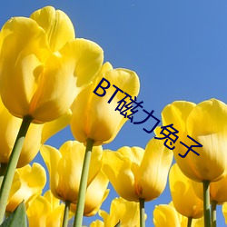 BT磁力(力)兔子