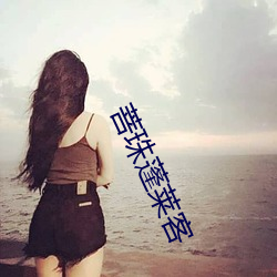 菩珠蓬莱客 （使假