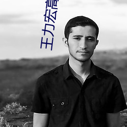 王(王)力(力)宏(宏)高清图(圖)片