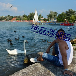 绝品透视眼 （发育）