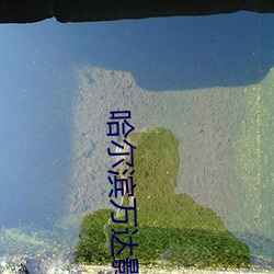 米乐M6·(中国)官方网站