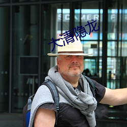 大清隐龙 （票房）