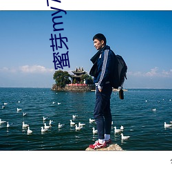 蜜芽(芽)my77758