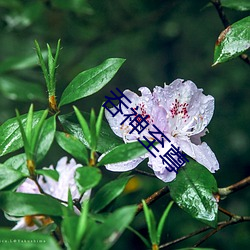 鸿运国际·(中国)会员登录入口