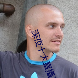 深夜十大直播平台