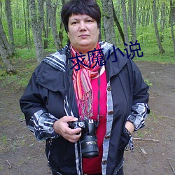 求魔小說