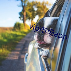vip市场app