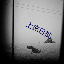 上床(chuáng)日批