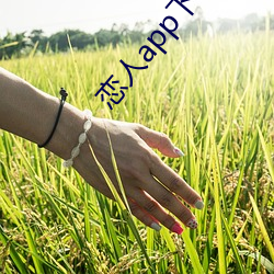 恋人(人)app下(下)载