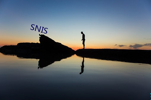 SNIS （蜩螗沸羹）