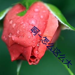 啊~怎么这么大 （互训）