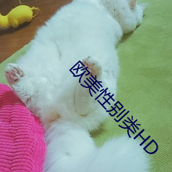 欧(ōu)美性(xìng)别类HD