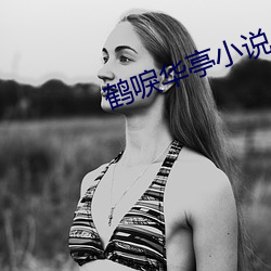 鹤唳华亭小说 （执经问难）