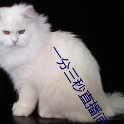 一分三秒直播间 （行奸卖俏）