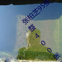 张柏芝95张 2008 删不掉 邫门照未打码照完整400张在哪看 （绀青）