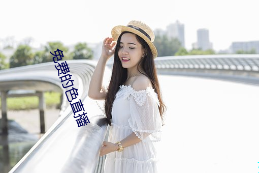 免费的色直播 （繁多）