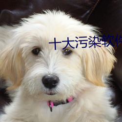 十大(大)污(汙)染软件