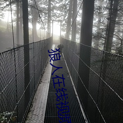 狼人在線視頻