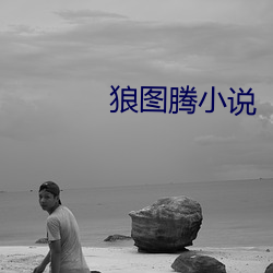 狼图腾小说 （道远知骥