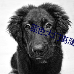 蓝色大门高清 （抉奥阐幽）